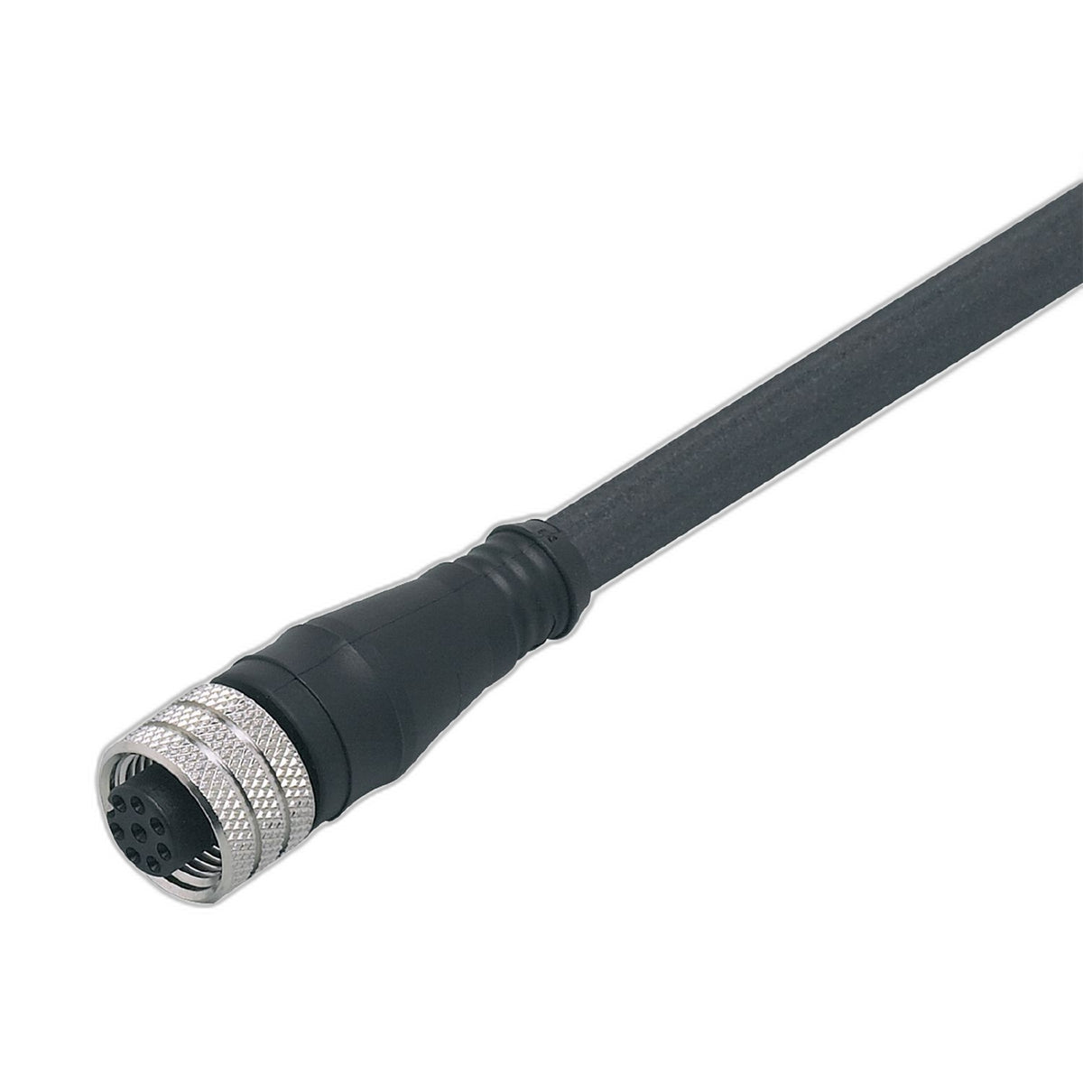 EFECTOR IFM - E12402 ADOGH080MSS0002K08 - Electrical Accessories