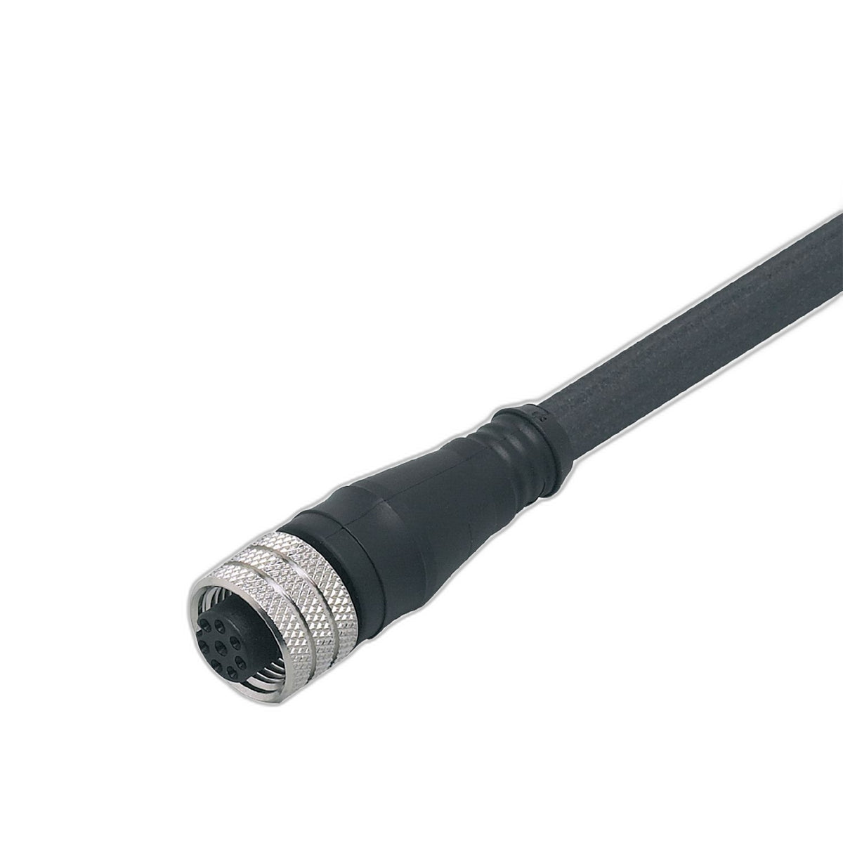 EFECTOR IFM - E12403 ADOGH080MSS0005K08 - Electrical Accessories