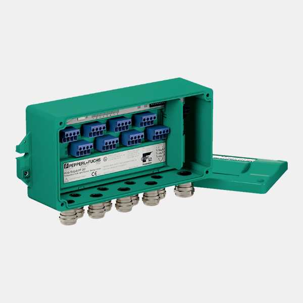 PEPPERL & FUCHS - 125523 - Control Units