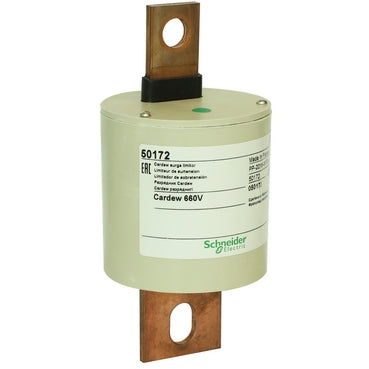 SCHNEIDER ELECTRIC - 50172 - Protective Devices