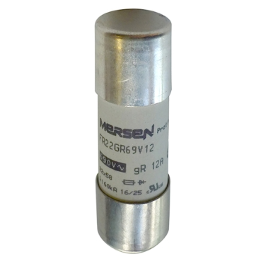 SCHNEIDER ELECTRIC - DF3FR100 - Fuses