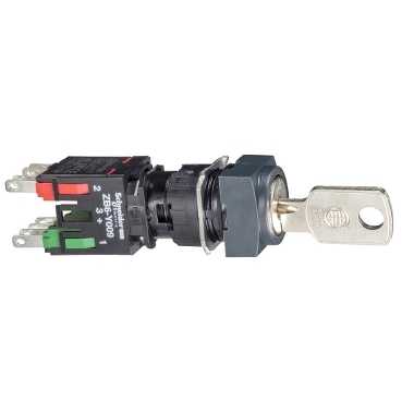 SCHNEIDER ELECTRIC - XB6CGC5B - Selector Switches