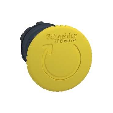 SCHNEIDER ELECTRIC - ZB5AS55 - Push Buttons