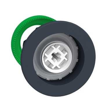 SCHNEIDER ELECTRIC - ZB5FH0 - Push Buttons