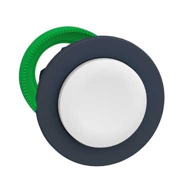 SCHNEIDER ELECTRIC - ZB5FL1 - Push Buttons