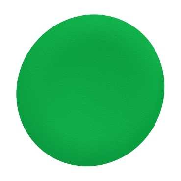 SCHNEIDER ELECTRIC - ZBAF3 - Panel Accessories