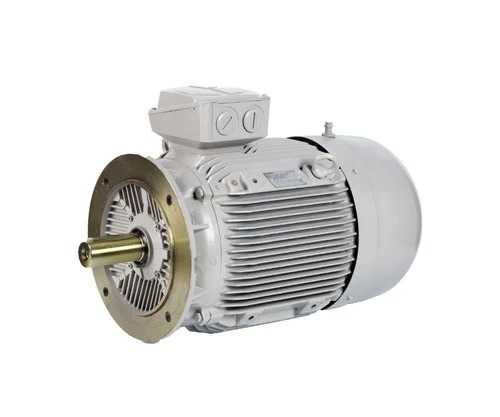 SIEMENS - 1LE7501-0EB02-3FA4 - Motors