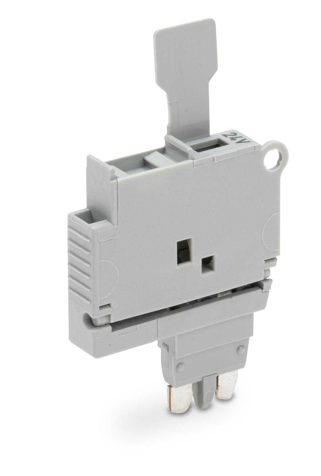 WAGO - 2004-911/1000-541 - Terminal Strip Wiring