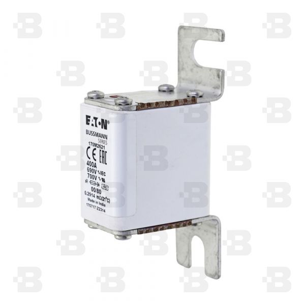 170M2621 Fuses