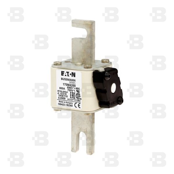 170M5410 Fuses