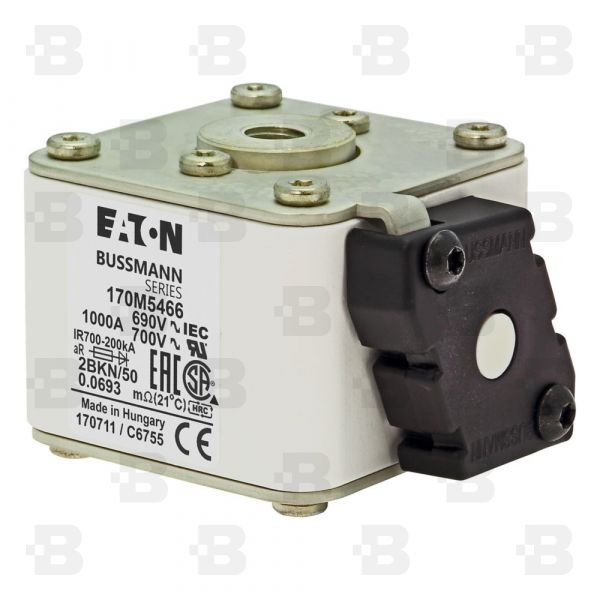 170M5466 Fuses